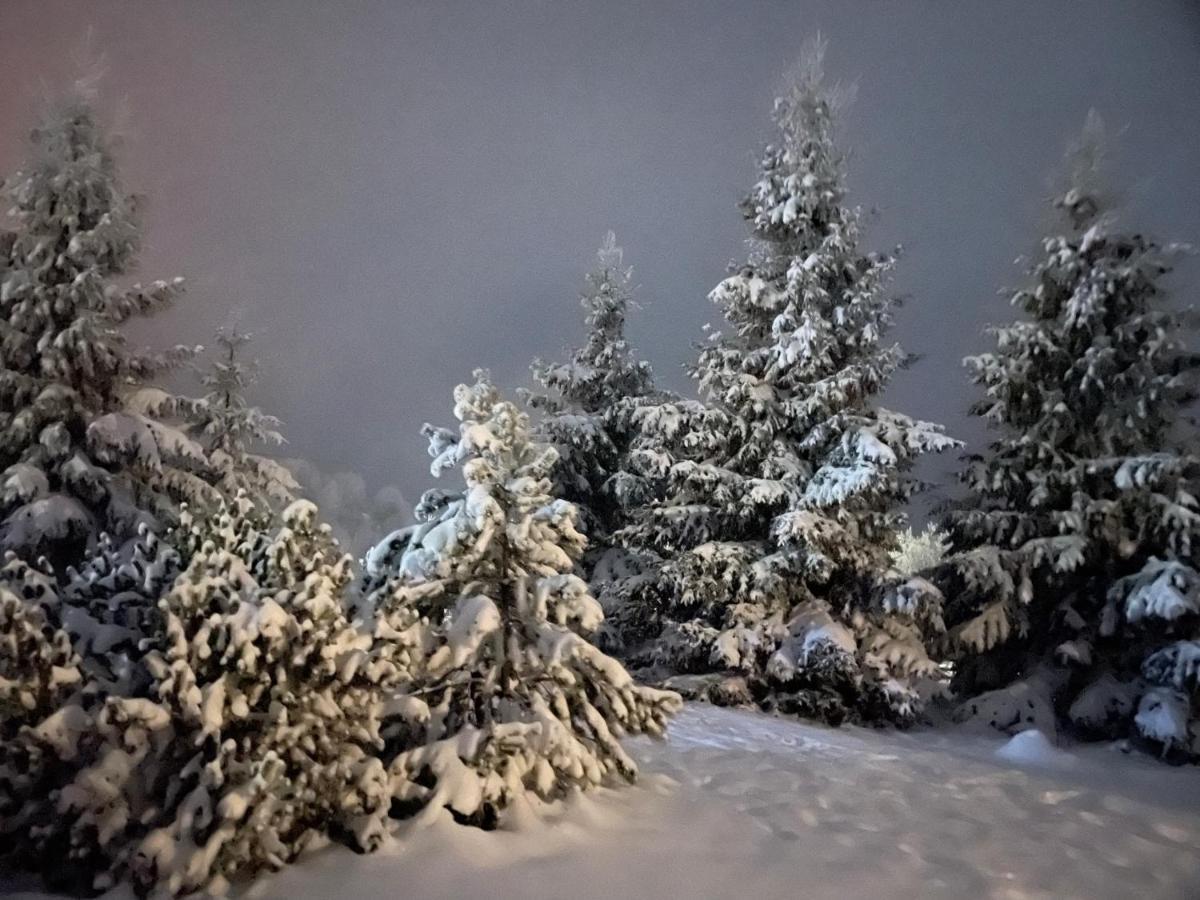 Chalet Ro Peştera Esterno foto