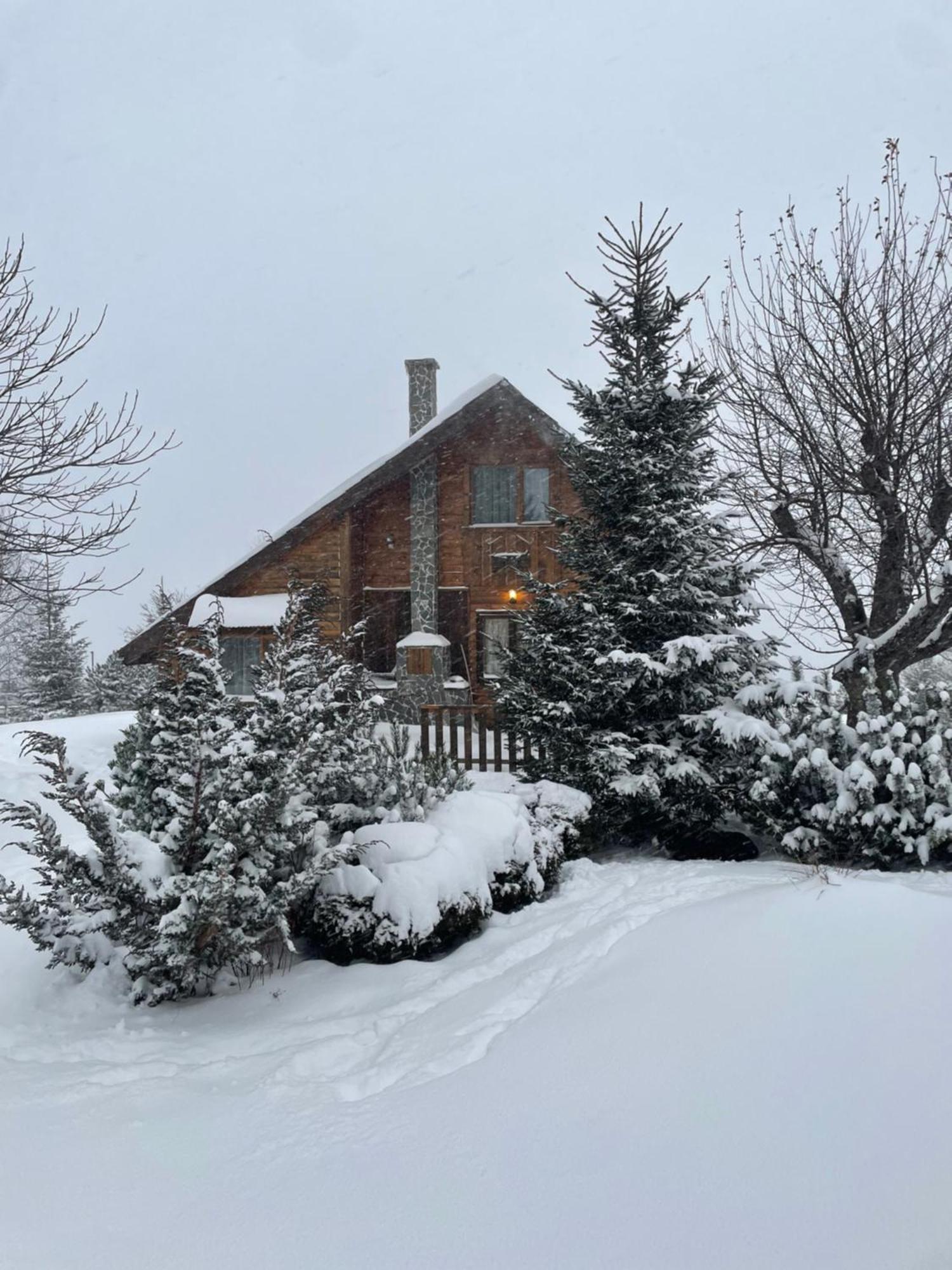 Chalet Ro Peştera Esterno foto