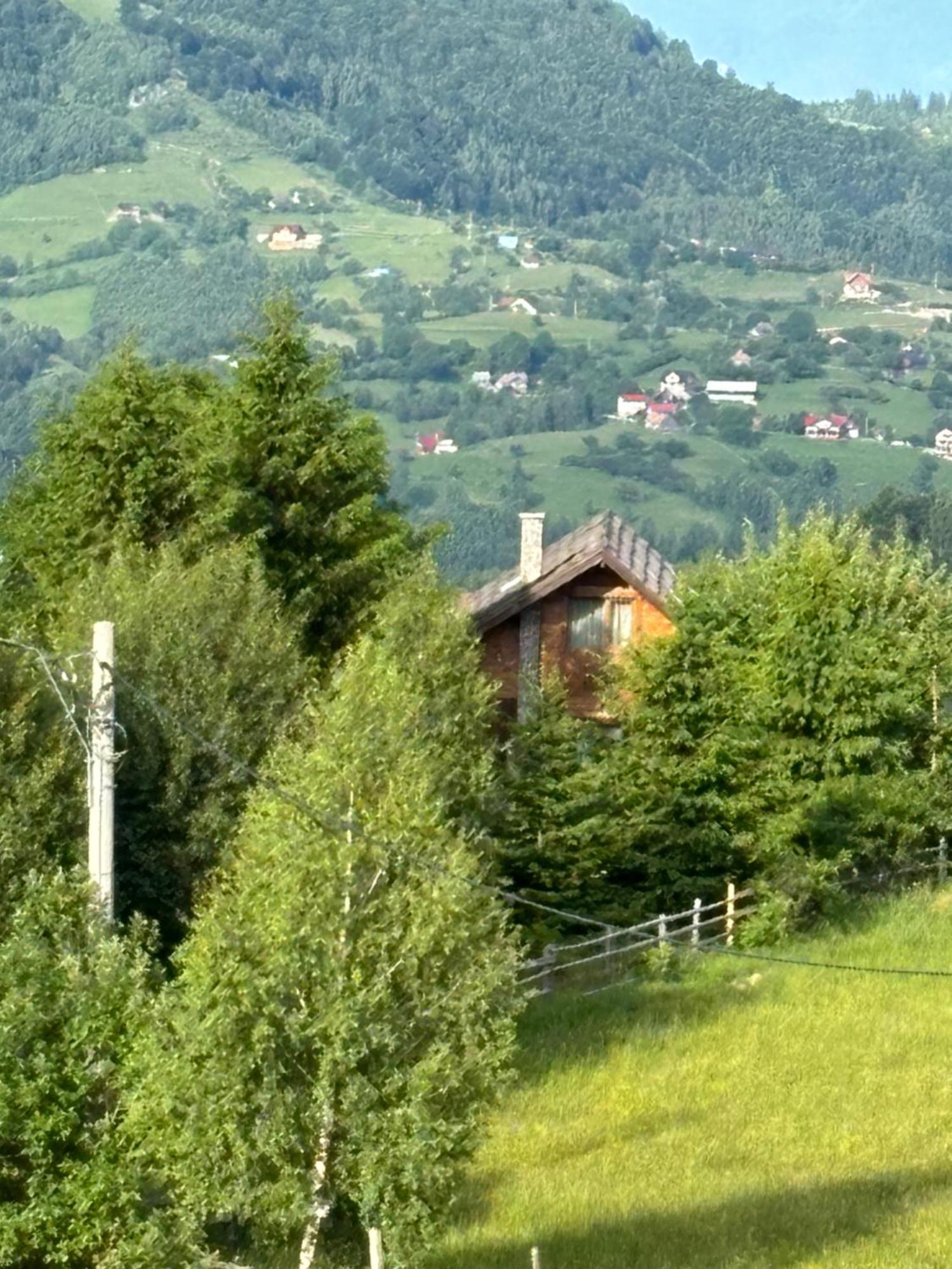 Chalet Ro Peştera Esterno foto