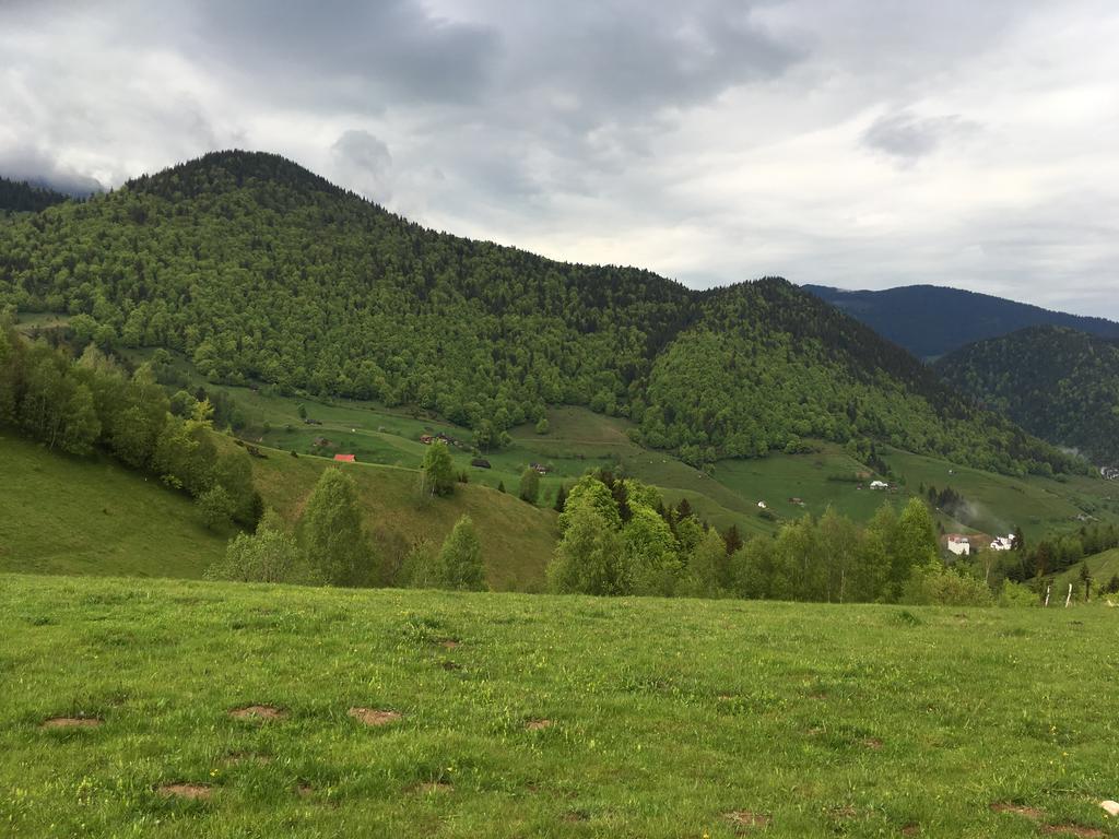 Chalet Ro Peştera Esterno foto